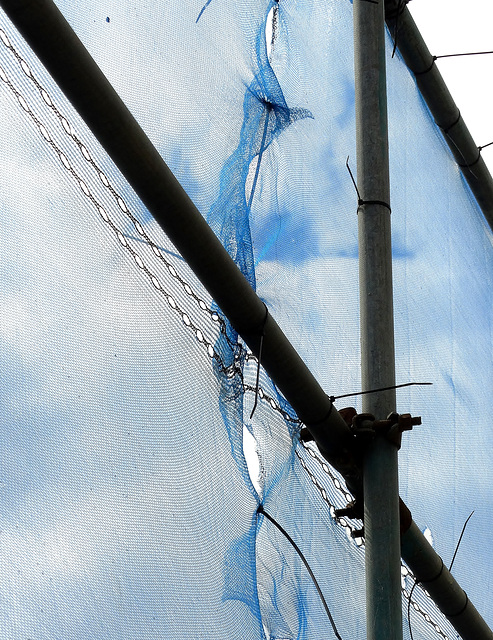 Fence And Netting 6