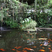 Roath Park Conservatory