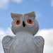 owl in the sky