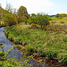 Kilmartin Burn,