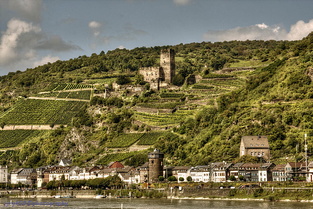 Burg Gutenfels - Kaub 1