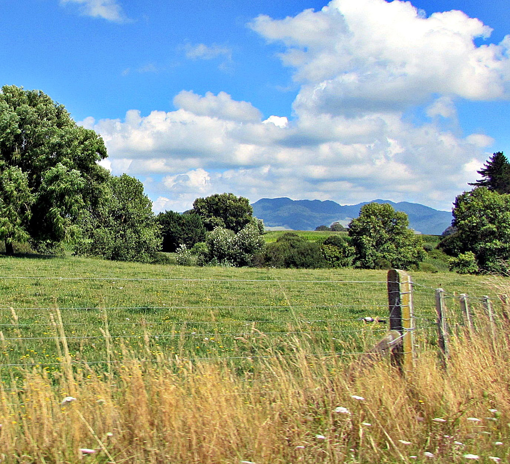 Toward the Hills.