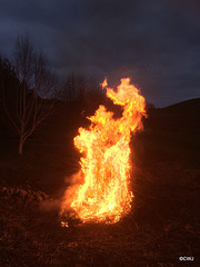 New Year's Day Bonfire