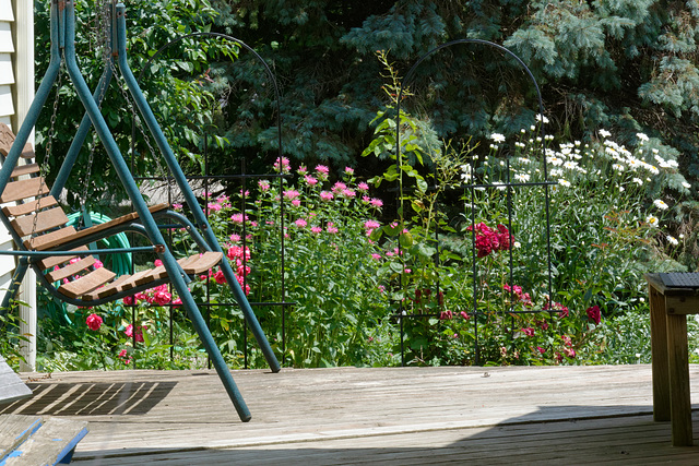 The Deck and the Trellis Garden