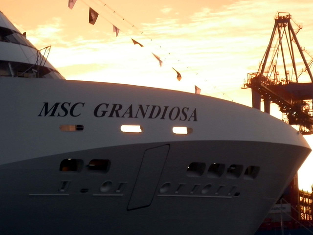 MSC GRANDIOSA - Bug Seitenansicht