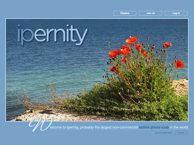 ipernity homepage with #1243