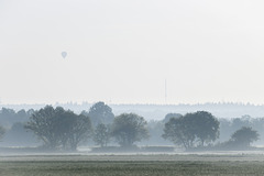 119 von 365