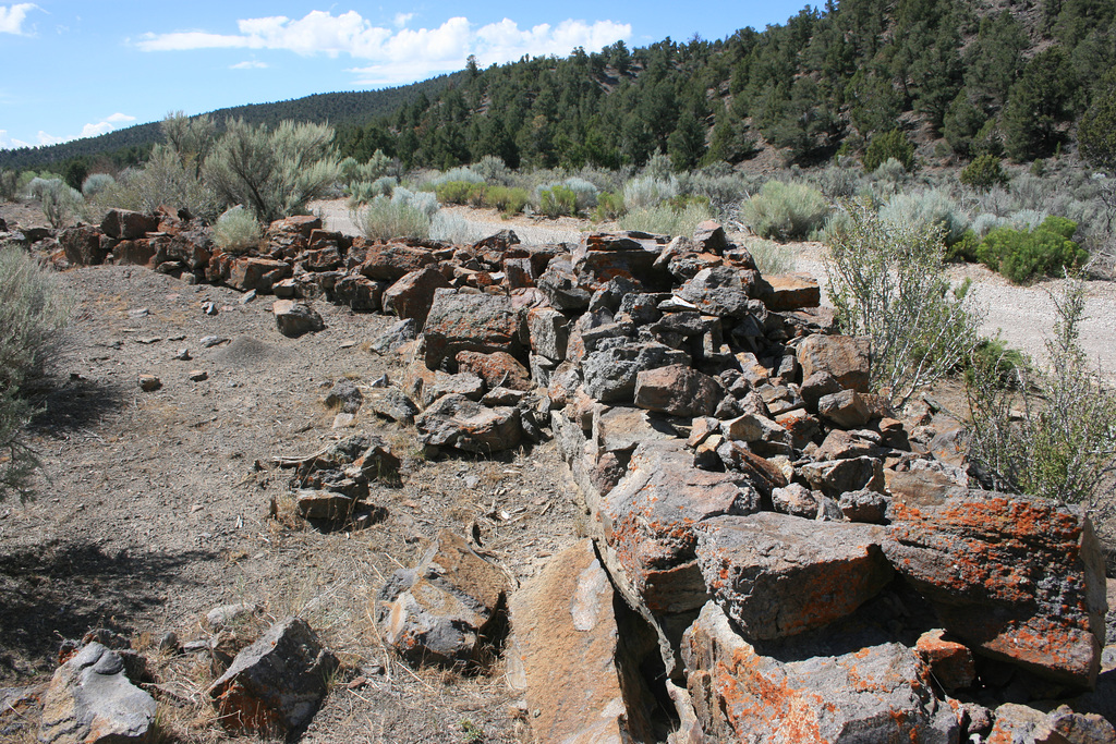 Washburn's Station ruins