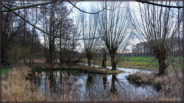 Biotop, Krefeld-Hüls