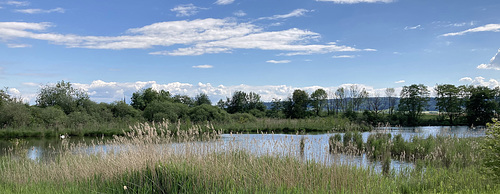 Unterer Bommer Weiher