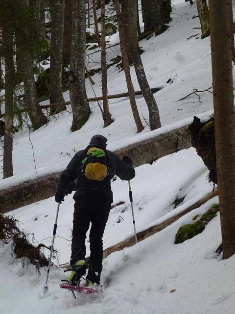 20150101 -03 Raquettes Vercors (85) al