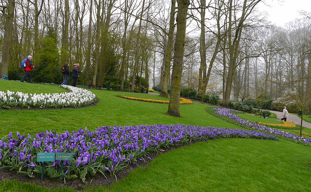 Blumen im Keukenhof