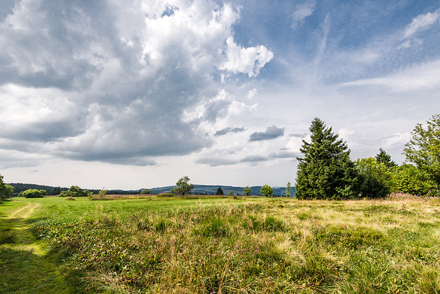 Am Heidelstein - 20150812