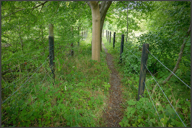 HFF to everyone .. from the 'Amber valley' - Ashover.