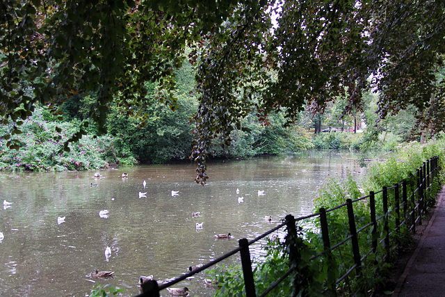 Roath Park