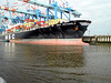 MSC Michaela