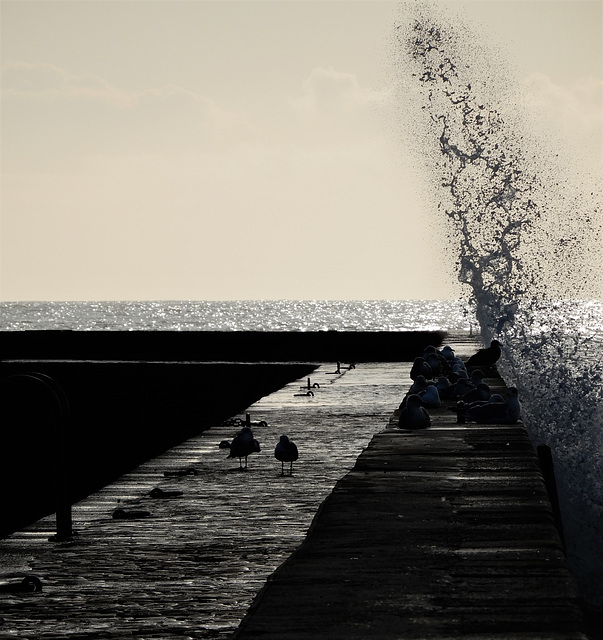 le contre-jour du matin