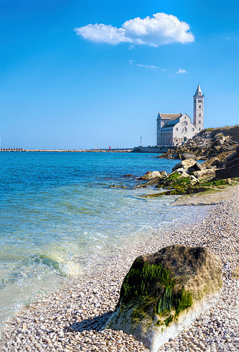 The Azure Waters of Trani