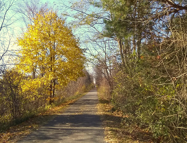 November in Michigan