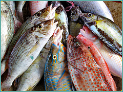 Victoria : il pesce è l'alimento base di queste isole equatoriali