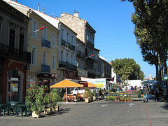 Pflanzenmarkt in Narbonne - 2004-09-30--Ix500-IMG_0920