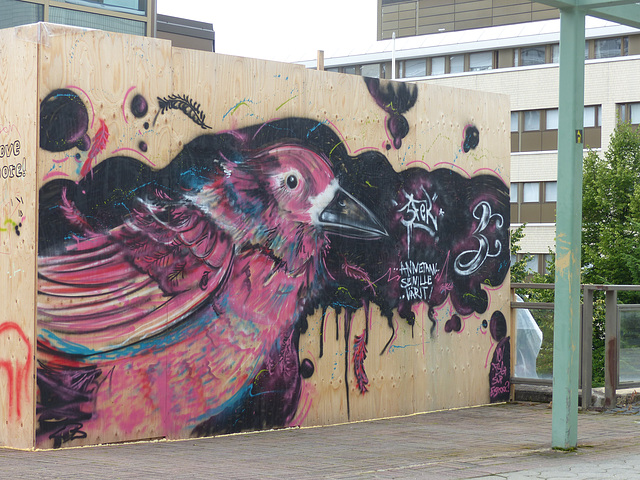 Bird Graffito - 8 August 2016