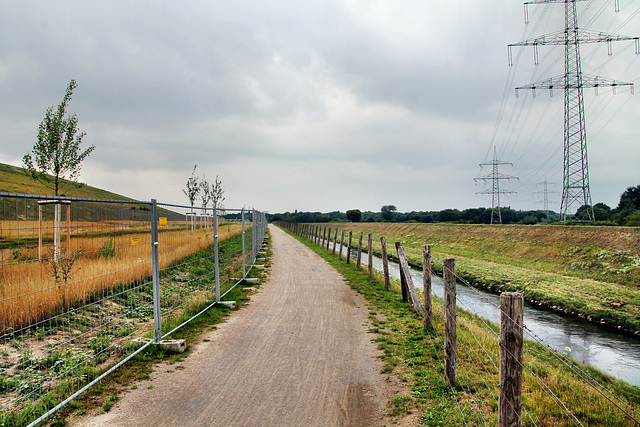 Weg neben der Emscher (Dinslaken) / 16.07.2017