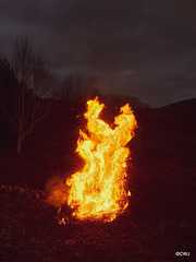 New Year's Day Bonfire