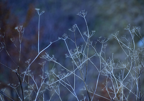 Sera d'autunno