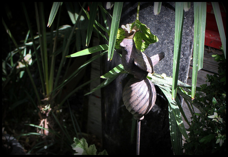 oiseau