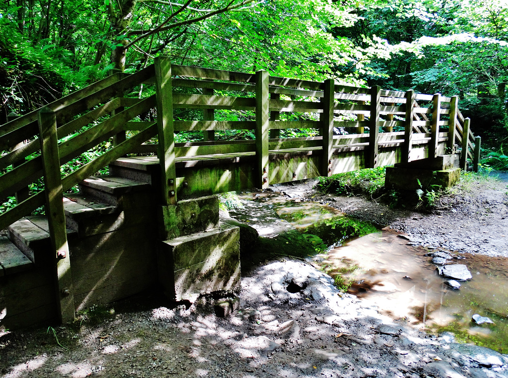 Wooden Bridge