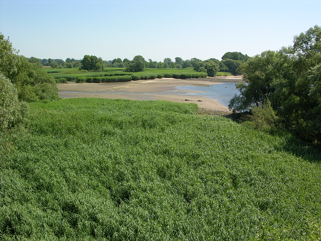 Naturschutzgebiet Heuckenlock