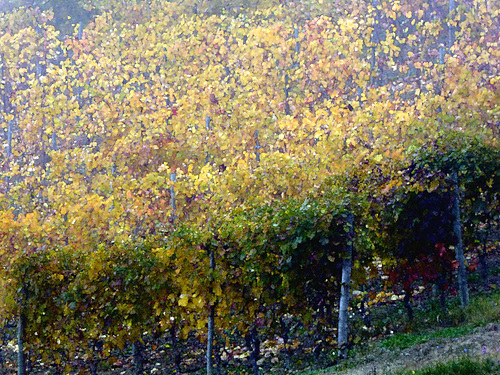 acquarellando l'autunno