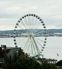 Seattle Eye