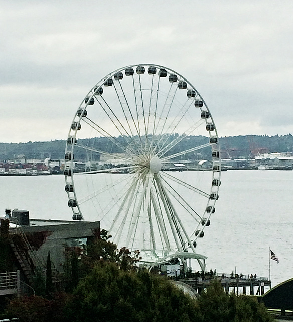 Seattle Eye