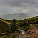 The end of Summer in Ireland