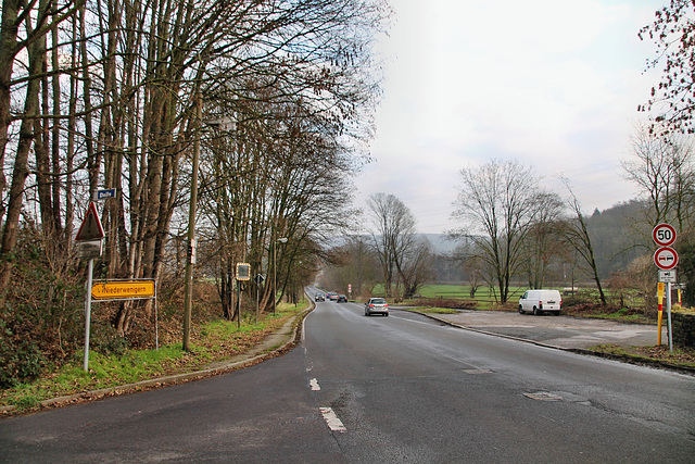 Nierenhofer Straße (Essen-Byfang) / 10.01.2021