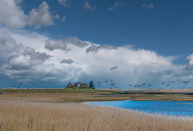 Haus Borg auf Amrum (330°)