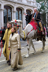 IMG 0297-001-Lord Mayor's Show 11