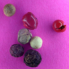 Macro Mondays Pfefferkörner