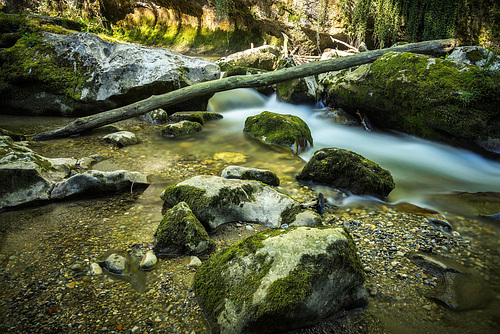 Le pont sur le cours du temps