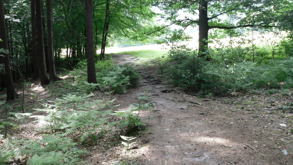 Aspichgraben