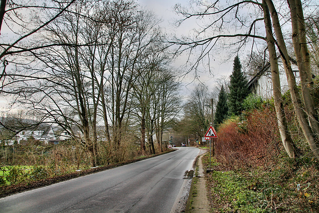 Nierenhofer Straße (Essen-Byfang) / 10.01.2021