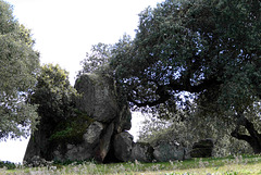 Dolmens of El Espartal