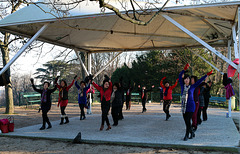 Gymnastique chinoise matinale ( merci mesdames )