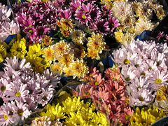 Blumensträusse auf dem Markt in Narbonne - 2004-09-30--Ix500-IMG_0919