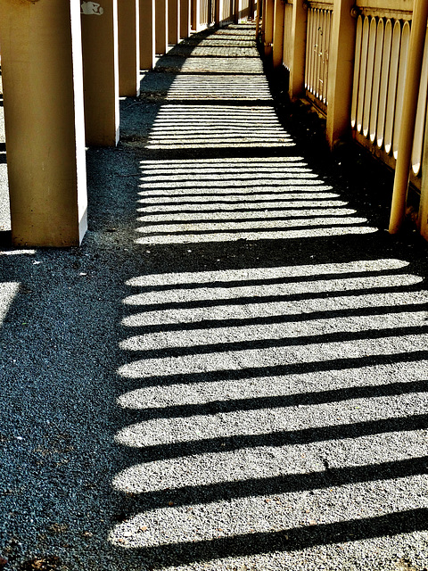 Shadows on the High Level Bridge