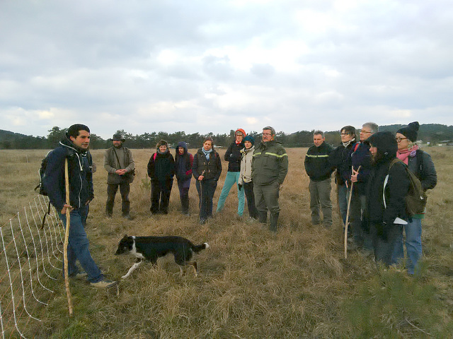 Transhumance du 16 mars 2016