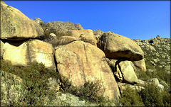 Grandpa Mushroom Rock.