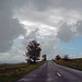 The weather was fine along Hadrian's Wall